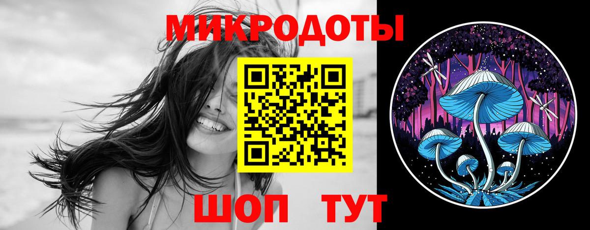 Галлюциногенные грибы Psilocybine cubensis  Вход с VPN  Саянск  Псилоцибиновые грибы MAGIC MUSHROOMS 