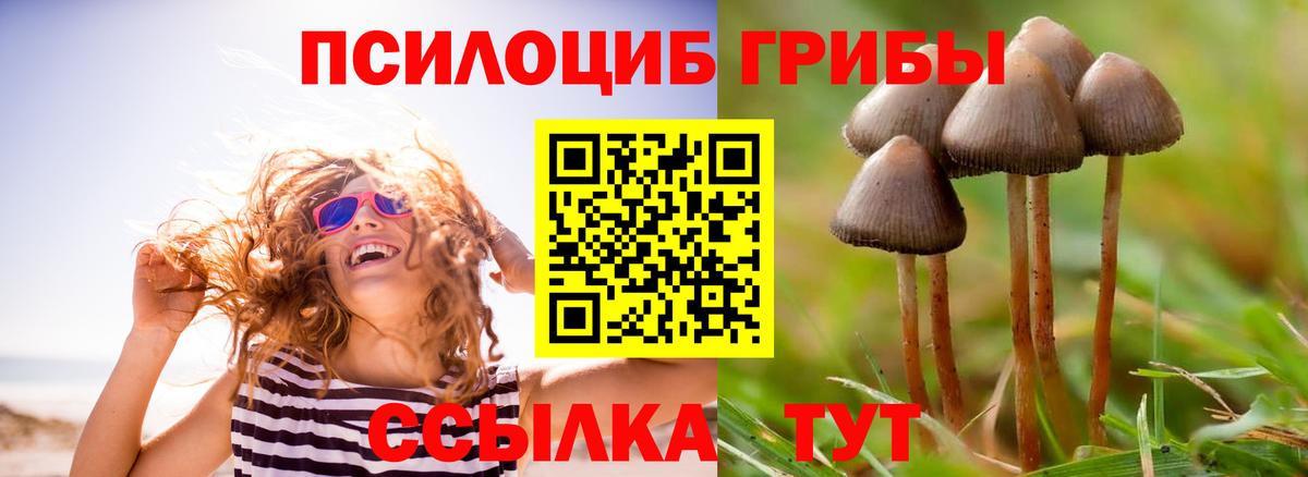 Псилоцибиновые грибы прущие грибы Саянск